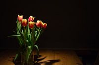 Tulpen auf dem Tisch