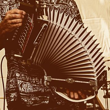 Cajun accordion player