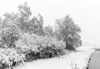 Winterlandschaft mit Bäumen und einer Uferpromenade