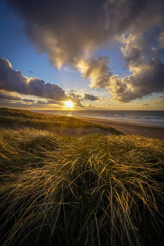 Zonsondergang Strand en Duin