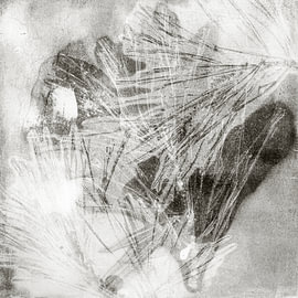 Wabi-Sabi Nature. Botanical Monotypes. Pine tree