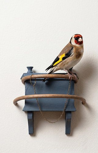 The Goldfinch, Remastered van J.O. Han