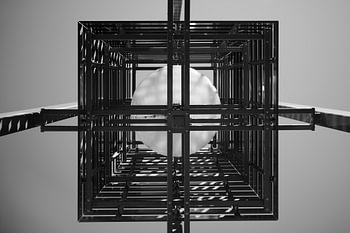 Strijp’s Symmetry