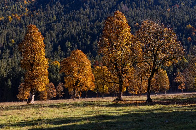 Autumn atmosphere at &quot;Grosser Ahornboden by Andreas Müller