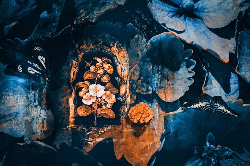 Le miracle de l'hortensia par Helga Blanke