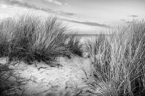 Duinen op het strand in zwart-wit