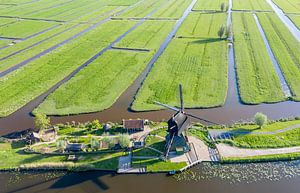 Windmühle in Kinderdijk