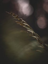 Sailing in the Soft Light by Adje Photography