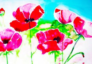 Mohnblumen