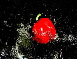 Spritzer Fotografie-roter Pfeffer von Cora Deutekom