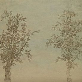 Die beiden Bäume (eine Erle und eine Esche) [Farbe] von Affect Fotografie