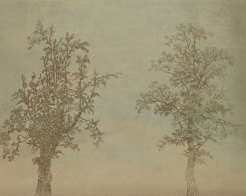 Die beiden Bäume (eine Erle und eine Esche) [Farbe] von Affect Fotografie