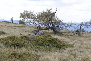 Der Kreuzberg mit den 3 Kreuzen im Sommer