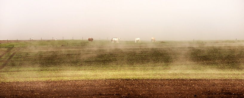 Vee in de mist van Harrie Muis