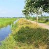 Landschap met sloot (tekening) van Lida Bruinen