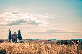 Beautiful Val d'Orcia in Tuscany. by Claudia van Vulpen Lenssen