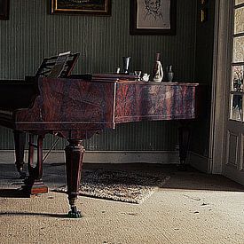 piano  sur Dimitri Declercq