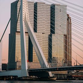 Rotterdam - Le pont Erasmus dans la lumière du soir (2) sur Jordy Brada