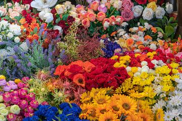 Kleurrijke bloemen van Achim Prill