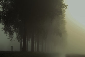 Morgennebel