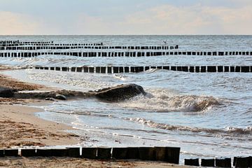 Wellenbrecher am Strand der Ostsee