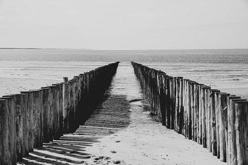 Endlose Küste von Zeeland von Louise van Gend