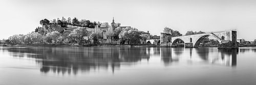 Avignon bij zonsopgang in zwart-wit