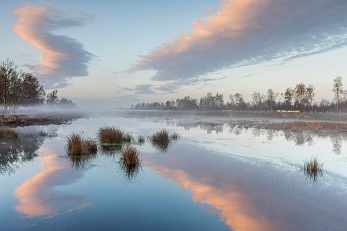 Bargerveen, reflection, reflect, morning red, Drenthe