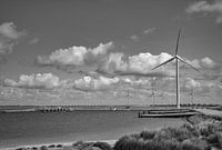 Windmolens bij Neeltje Jans