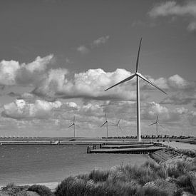 Windmolens bij Neeltje Jans van Martine Moens