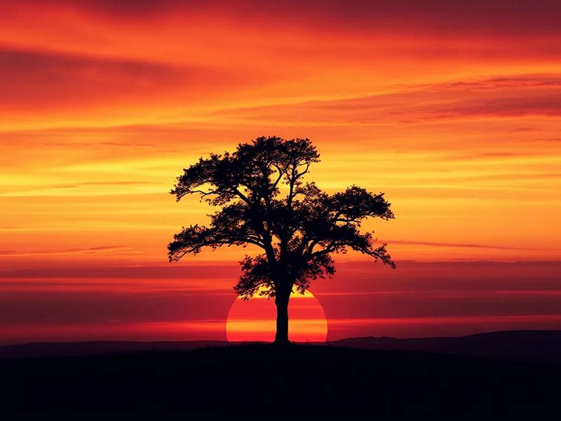 Sunset Silhouette by Artistic