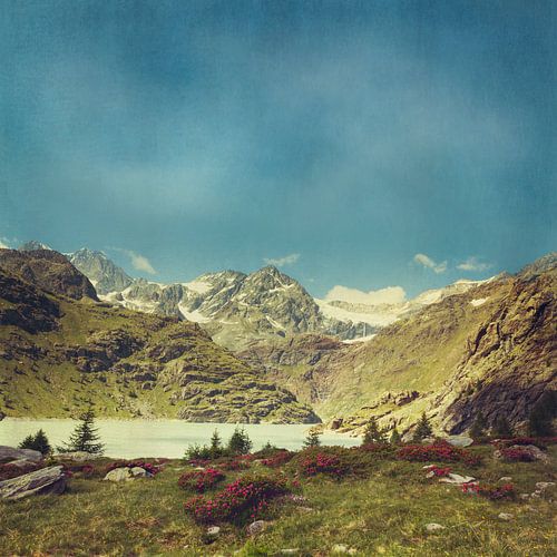 Neem me mee naar de bergen - Alpe Gera Italië - Lombardije