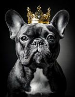 Franse Bulldog in zwart-wit met gouden kroon