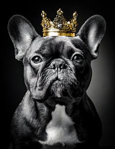 Bouledogue français en noir et blanc avec couronne dorée
