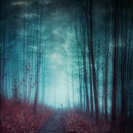 Silhouette in a surreal forest by Dirk Wüstenhagen