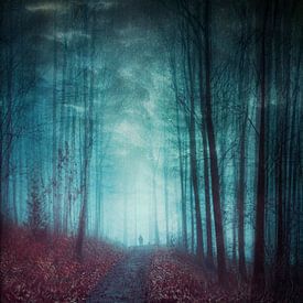 Silhouette dans une forêt surréaliste sur Dirk Wüstenhagen