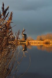 Windmühle von Kinderdijk von Sanne van der Plaat