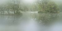 Lake in romantic mood. Oisterwijk fens. by Alie Ekkelenkamp thumbnail