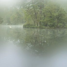 Lac d'humeur romantique. Fagnes d'Oisterwijk. sur Alie Ekkelenkamp