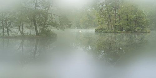 Oisterwijkse ven in romantische sfeer.