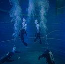 Divers in Diving Tower by Davadero Foto thumbnail