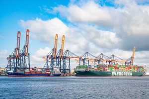 Containerschiff Ever Golden im Hafen von Rotterdam