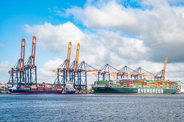 Containerschiff Ever Golden im Hafen von Rotterdam von Sjoerd van der Wal Fotografie