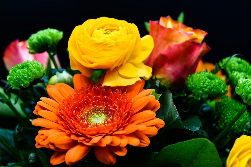Colorful bouquet of flowers on a dark background by David Esser