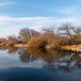 Amsterdamse waterleiding duinen van Lies Bakker