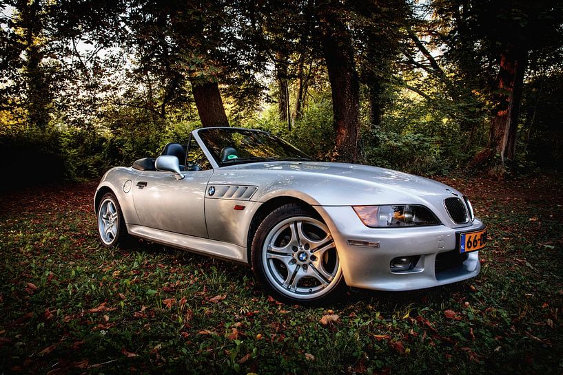 BMW Z3 von Rob Boon