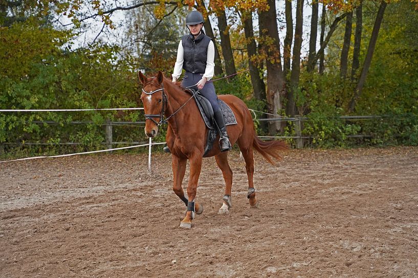 Training with the bay Oldenburg mare on a riding arena by Babetts Bildergalerie