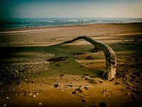 Op het strand