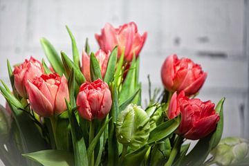Rode en witte tulpenbloemen van Petra Dreiling-Schewe