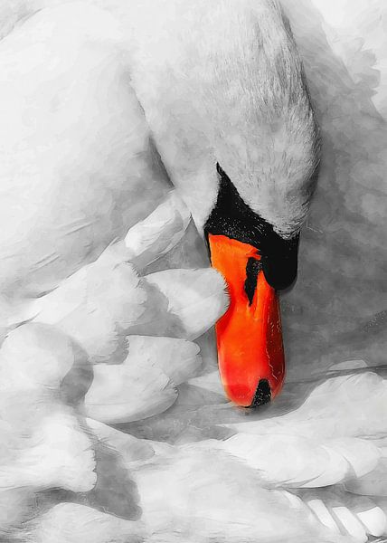 Swan bird watercolor art #swan by JBJart Justyna Jaszke